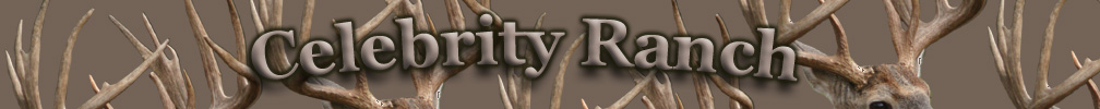 Header Graphic